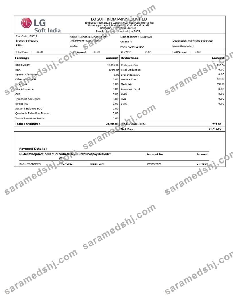 LG Soft India payslip template in Word and PDF formats.pdf, 1